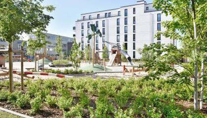 Harburger Brücken Gehölz Ahorn Aronia Spielplatz