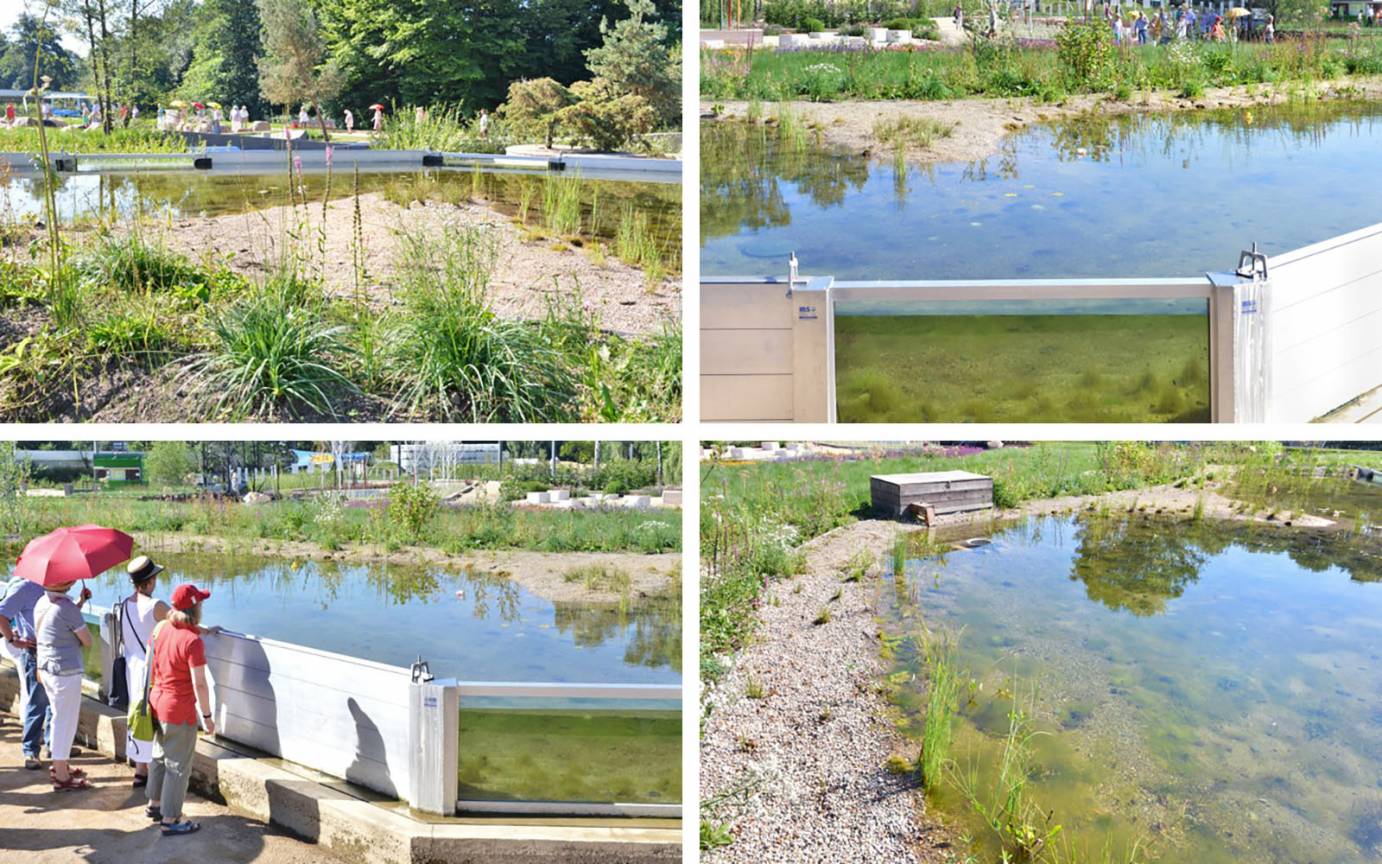 IGS Tümpelgarten Flachwasserzone Riedgräser Flutschutzwand Wasseranstau