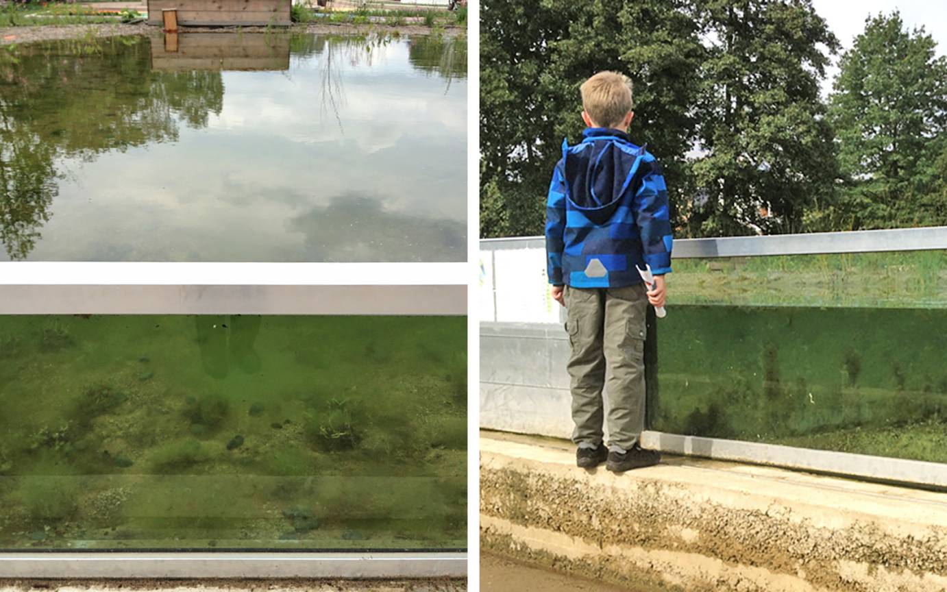 IGS T&uuml;mpelgarten Glasfenster Einblick Unterwasserwelt