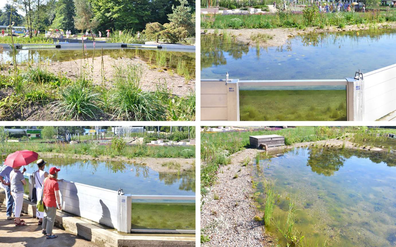 IGS T&uuml;mpelgarten Flachwasserzone Riedgr&auml;ser Flutschutzwand Wasseranstau
