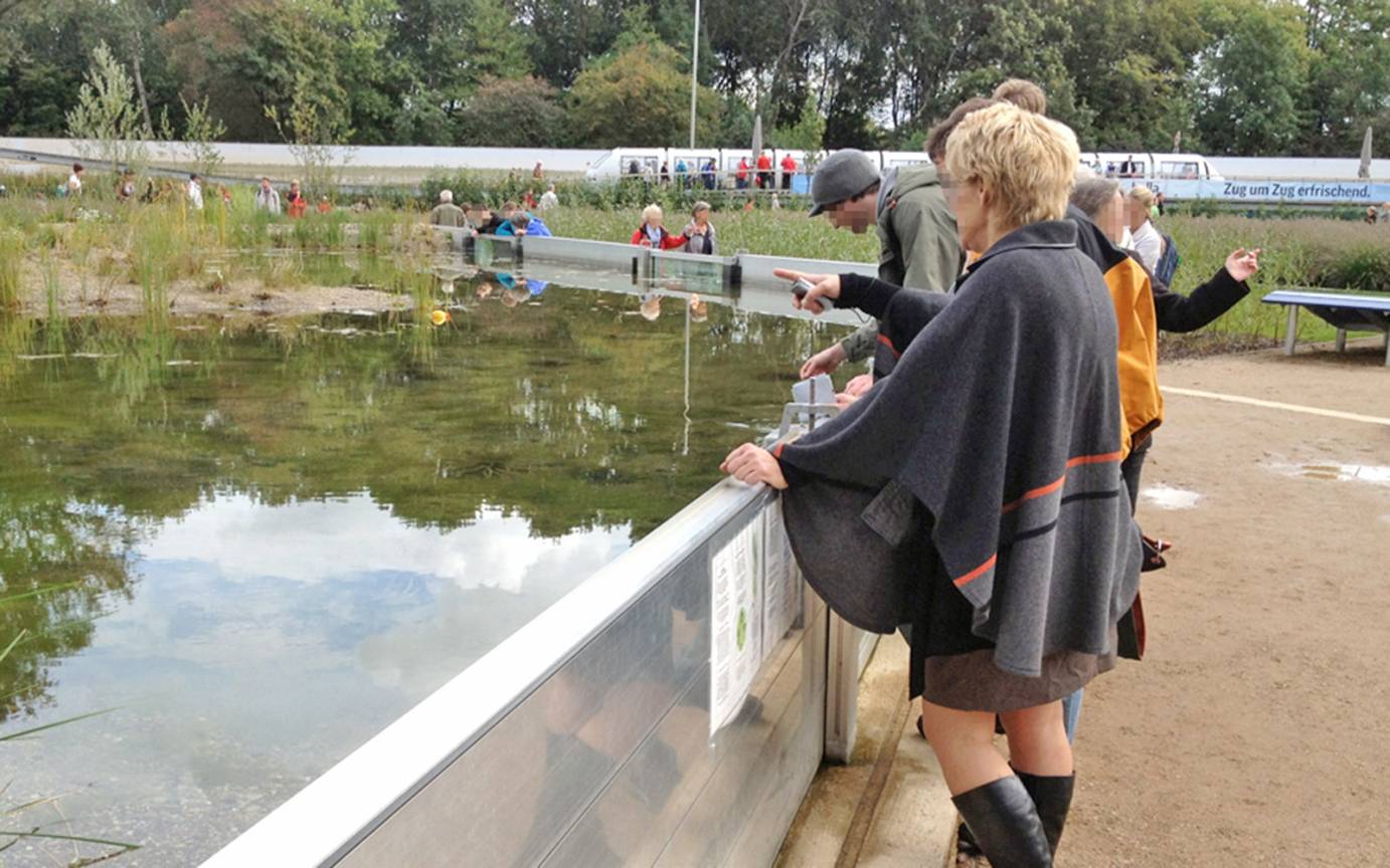 IGS T&uuml;mpelgarten Schauseite T&uuml;mpelgarten Unterwasserfenstern