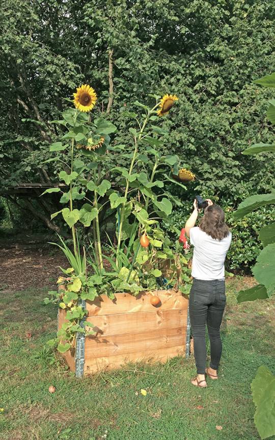 Landschaftsachse Horner Geest Grüner Faden Hochbeet Urban Gardening