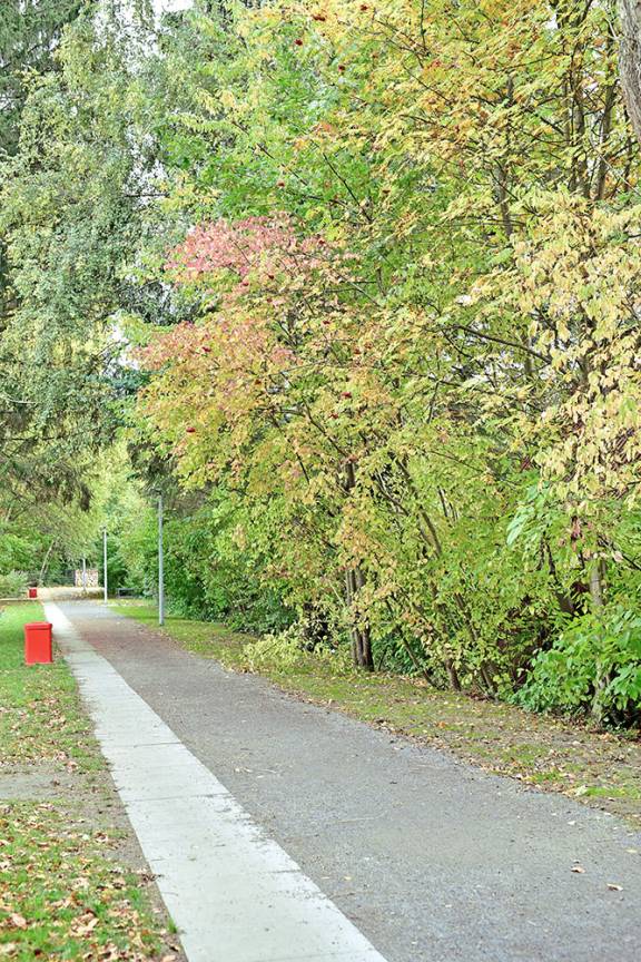 Landschaftsachse Horner Geest Grüner Faden Sturmvogelweg Legienstra&szlig;e
