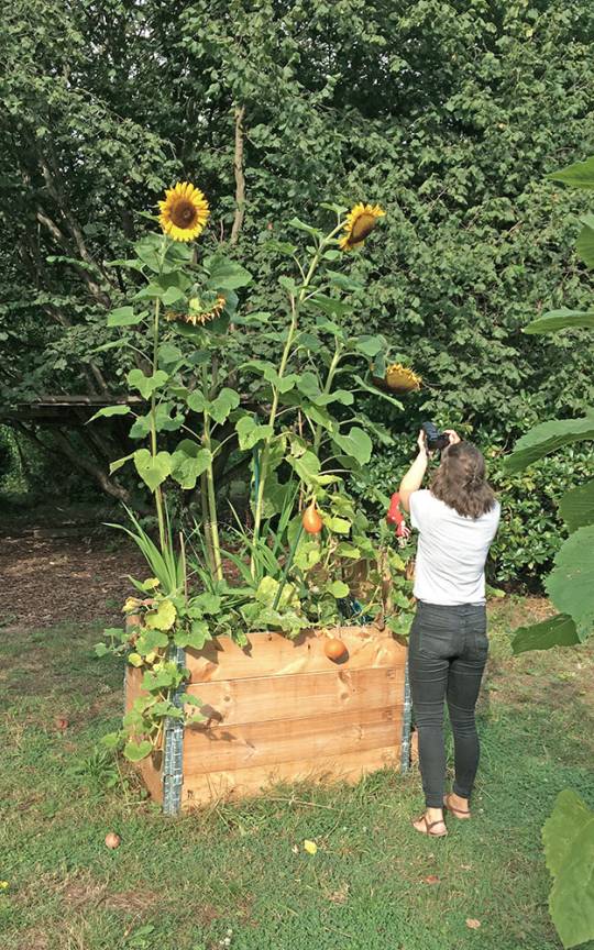 Landschaftsachse Horner Geest Gr&uuml;ner Faden Hochbeet Urban Gardening