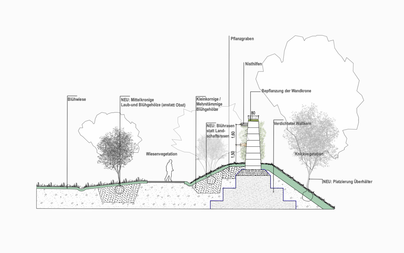 L&auml;rmschutzlandschaft Giselbertstra&szlig;e Prinzipschnitt Bepflanzung