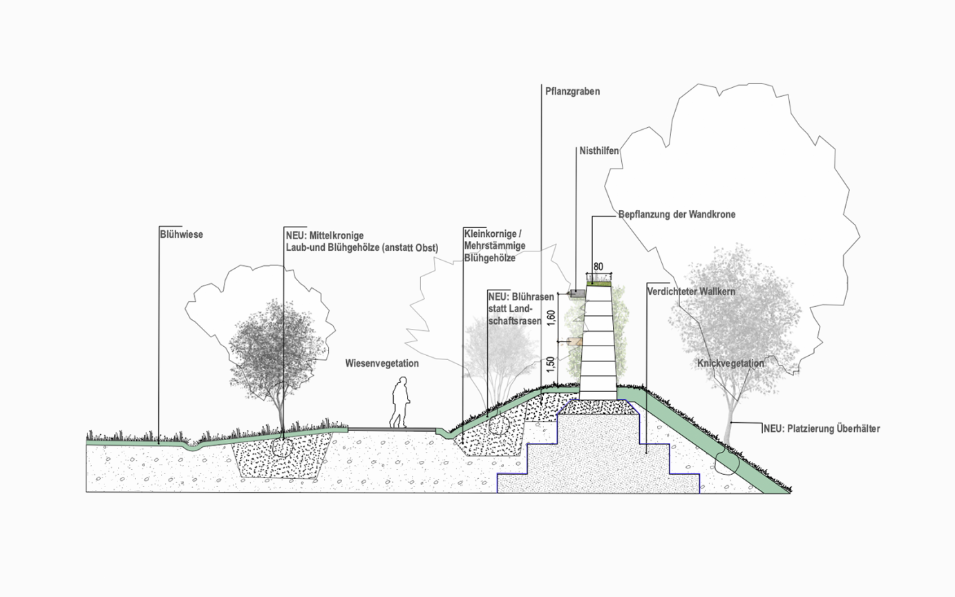 Lärmschutzlandschaft Giselbertstraße Prinzipschnitt Bepflanzung