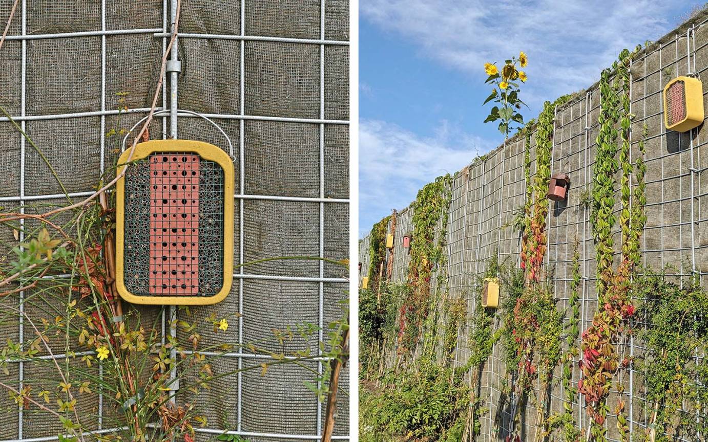L&auml;rmschutzlandschaft Giselbertstra&szlig;e Rankpflanzen Spontanvegetation Nistk&auml;sten Erdk&ouml;rper