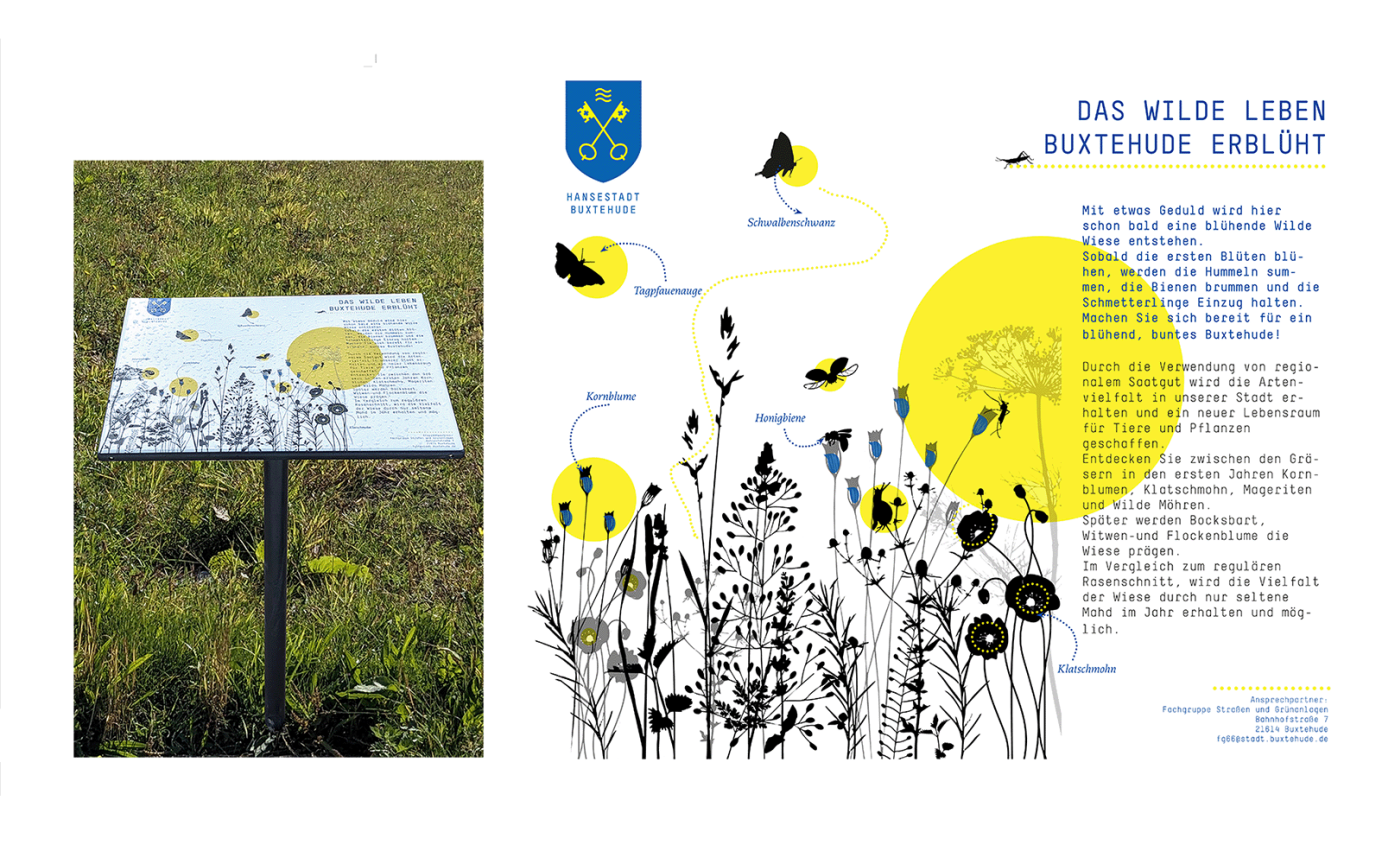 L&auml;rmschutzwand Giselbertstra&szlig;e Buxtehude Gestaltung Wiesenschildern Sensibilisierung Entwicklungsphasen Bl&uuml;hwiese