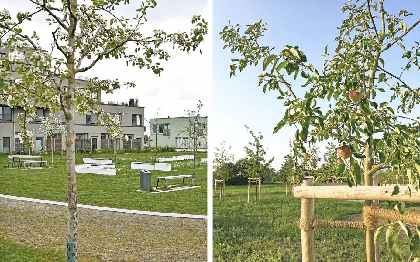 Vogelkamp Platzfläche Mobiliar Obstbäume