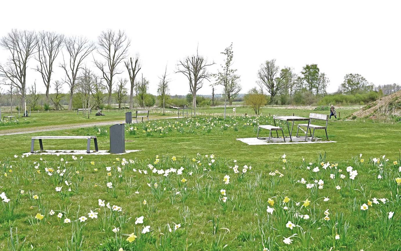 Quartierspl&auml;tze Vogelkamp Narzissenbl&uuml;te Quartiersplatz