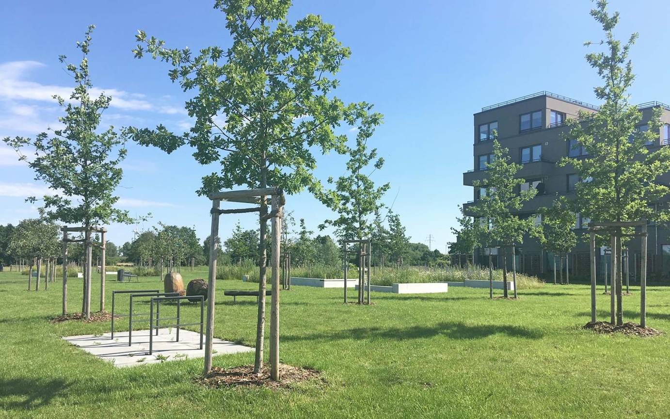 Vogelkamp &Uuml;berblick Quartiersplatz
