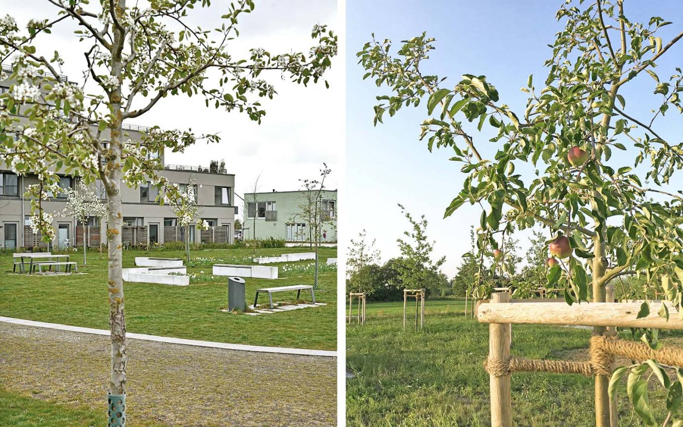 Vogelkamp Platzfl&auml;che Mobiliar Obstb&auml;ume