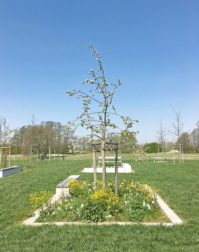 Quartierspl&auml;tze Vogelkamp Gartenbeet Apfelbl&uuml;te