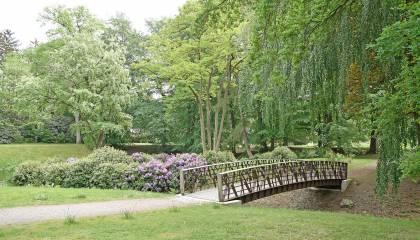 Südteichbrücke Friedhof Ohlsdorf Südteichbrücke Übergang Südteichinsel