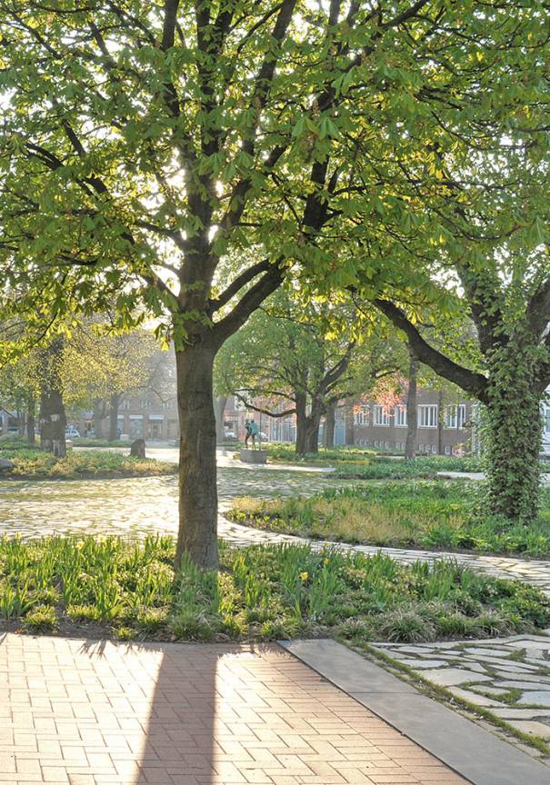 Museumsinsel Harburg Garten Baumbestand