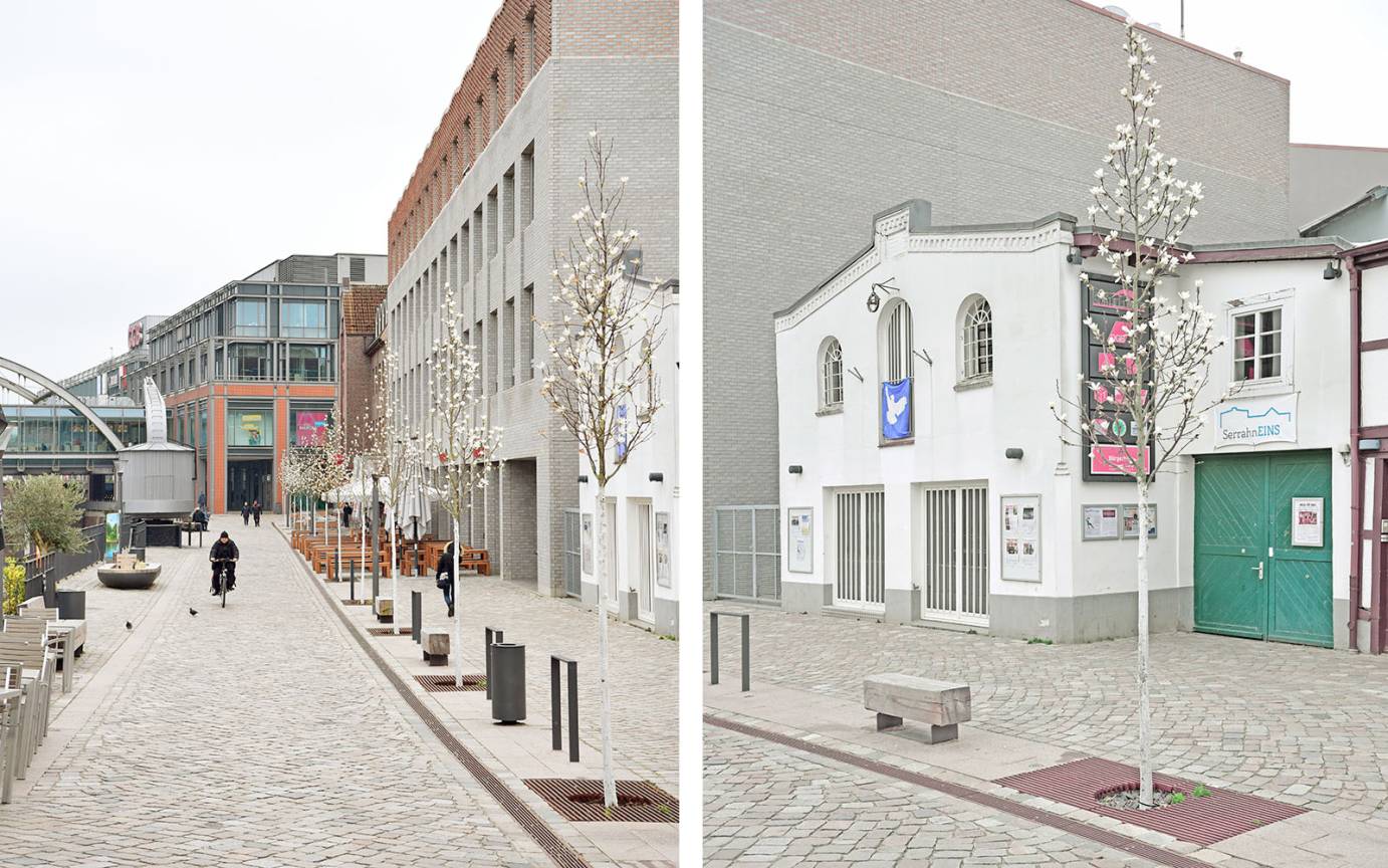 Serrahnstra&szlig;e Bergedorf Kobus Magnolie Kulturforum Serrahnstra&szlig;e