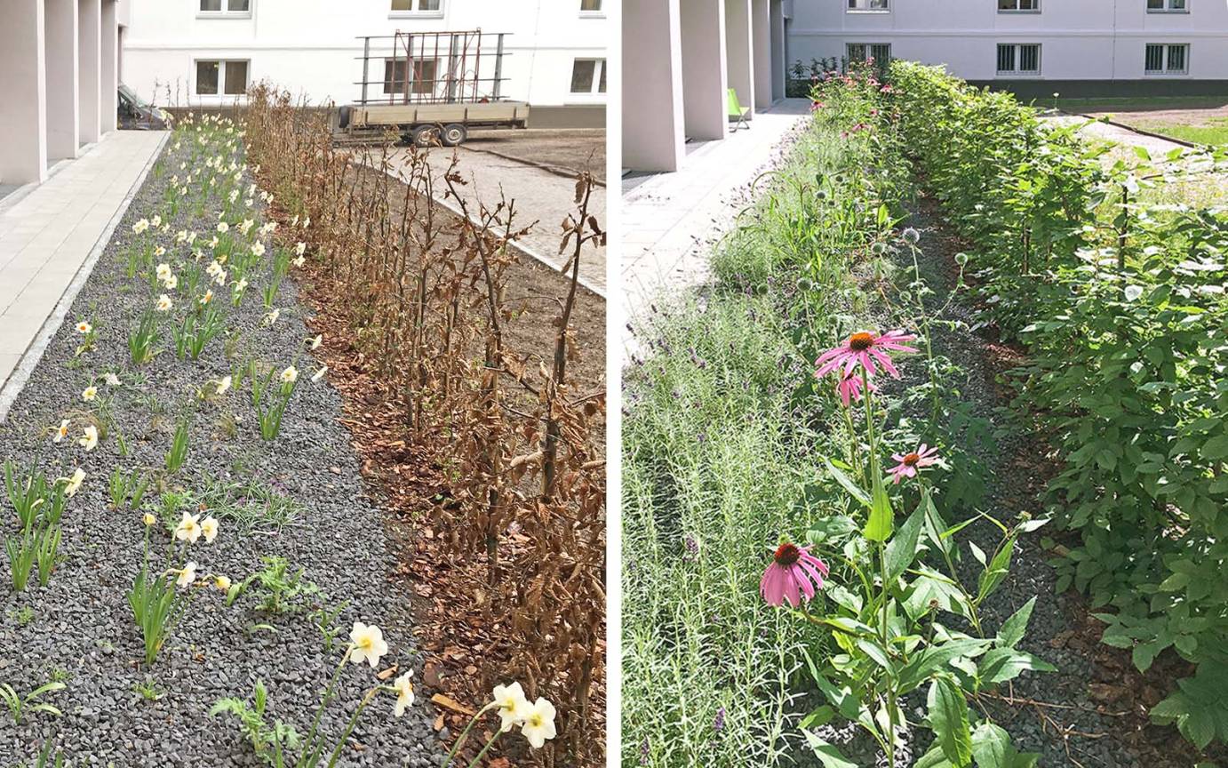 Armgartstra&szlig;e Fr&uuml;hjahrs- Sommerflor