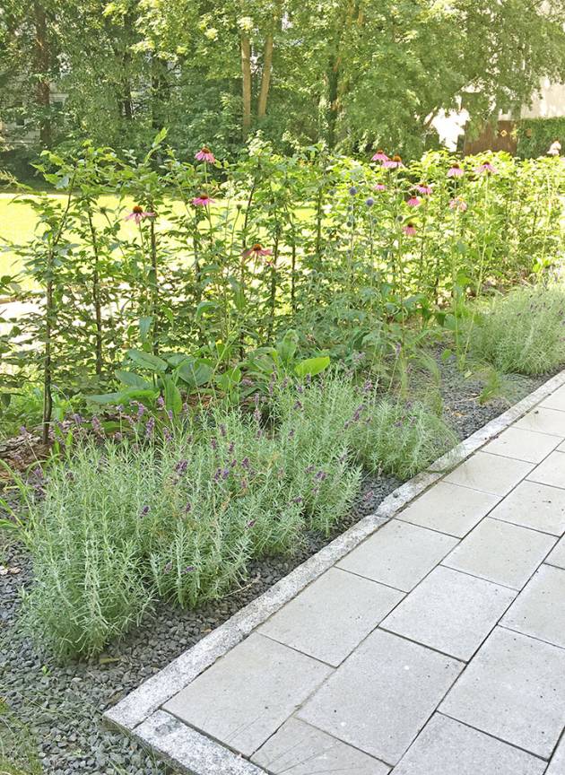 Armgartstraße Detail Lavendel Sonnenhut Pflanzung