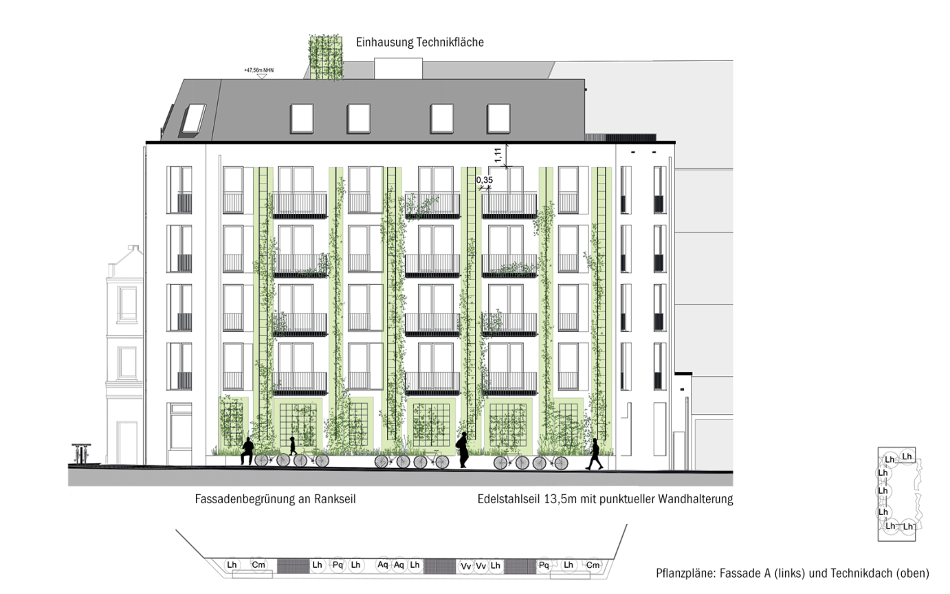 AureliE Fassadenbegr&uuml;nung Ansicht Fassade A