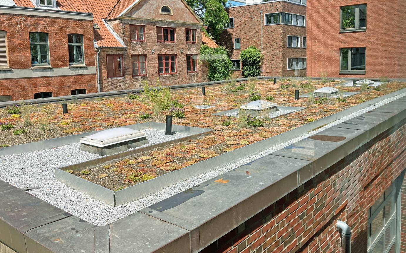 Gro&szlig;e Freiheit Begr&uuml;nung Dachfl&auml;che Neue Druckerei