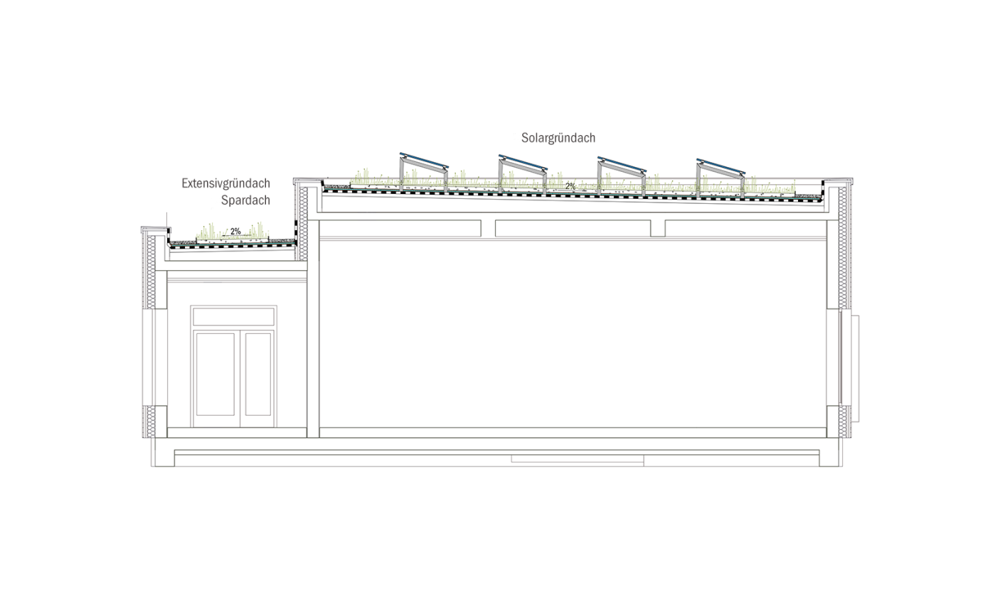 Sportkita Adendorf Querschnitt Dachbegrünung