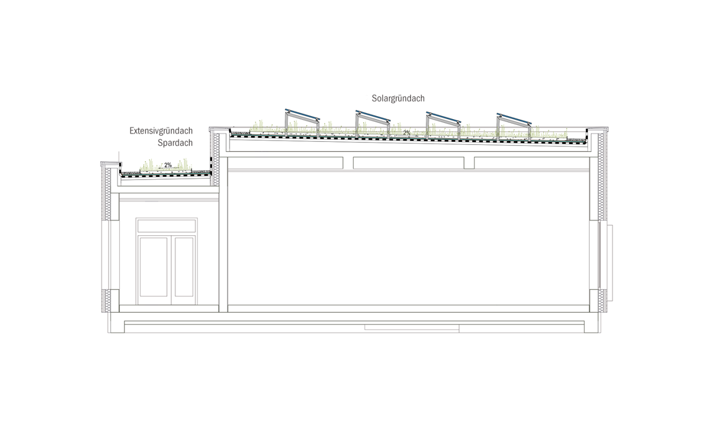Sportkita Adendorf Querschnitt Dachbegr&uuml;nung