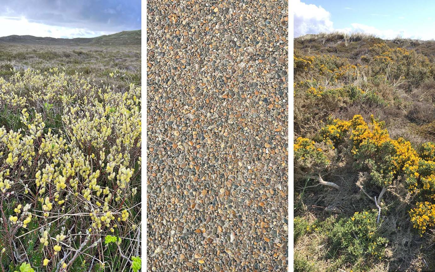 Arche Wattenmeer Sylt Sammlung Strukturen