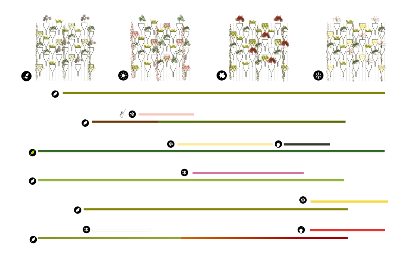Stiftstra&szlig;e Frankfurt Systematik Pflanzenfolge Jahreswechsel